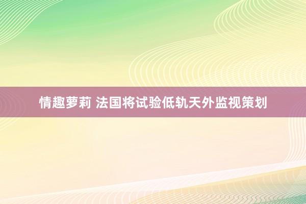 情趣萝莉 法国将试验低轨天外监视策划