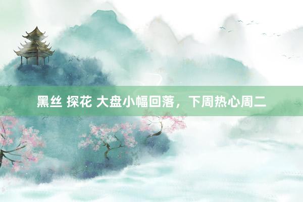 黑丝 探花 大盘小幅回落，下周热心周二