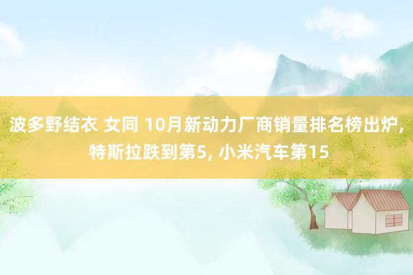 波多野结衣 女同 10月新动力厂商销量排名榜出炉， 特斯拉跌到第5， 小米汽车第15