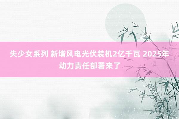 失少女系列 新增风电光伏装机2亿千瓦 2025年动力责任部署来了